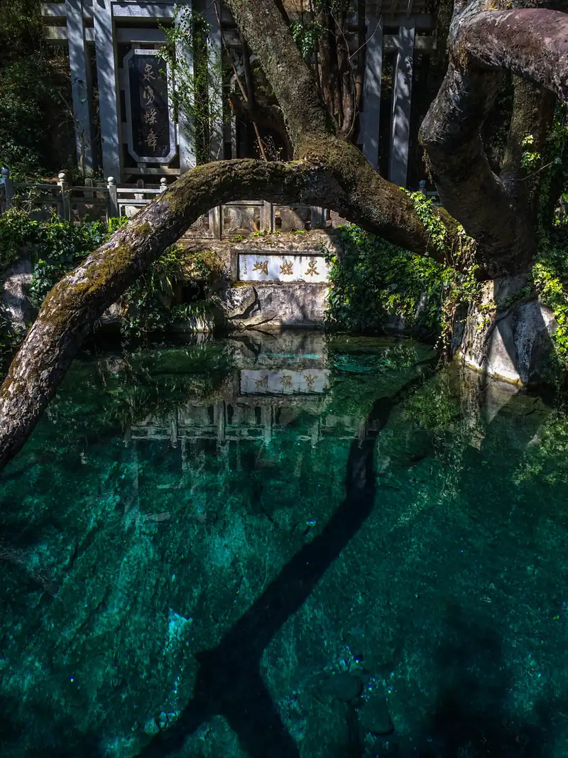 Mata Air Rama-rama (Butterfly Spring)