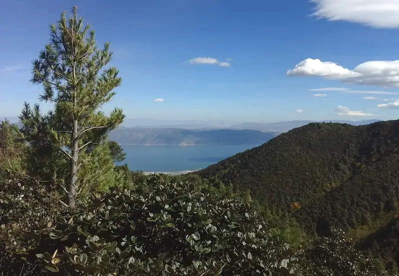 Walk Cangshan's Jade Belt Road for lake views without a climb