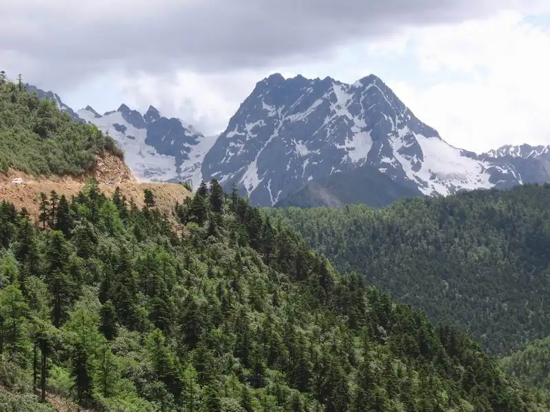 Snow peaks and forest in Diqing