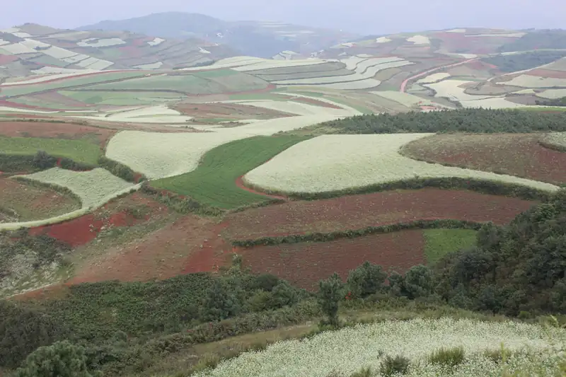 Tanah Merah Dongchuan
