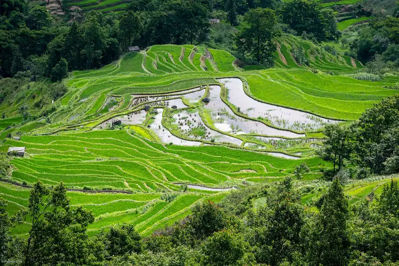 Honghe
