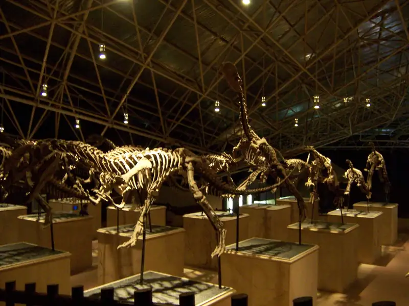 World Dinosaur Valley in Lufeng: real fossil beds, theme-park prices
