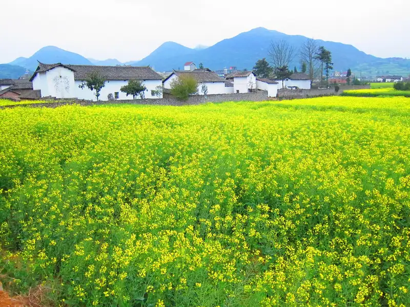 Stay in a Jinji village farmstay to beat the crowds to the viewpoints