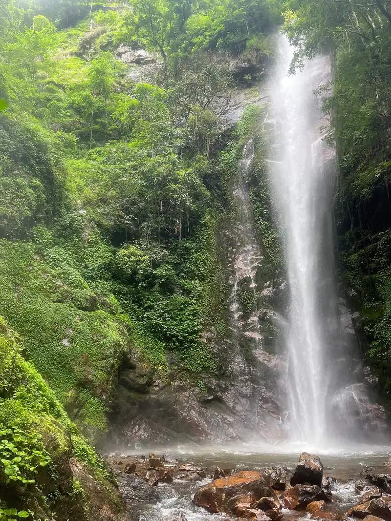 Hutan Hujan Tropika Moli (Ruili)
