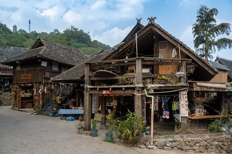 Wooden stilt houses with dark tiled roofs in Wengji village on Jingmai Mountain