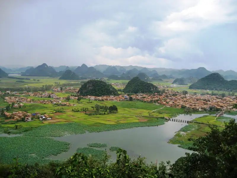 Lotus-covered lake, rice fields and a village among cone-shaped karst hills at Puzhehei