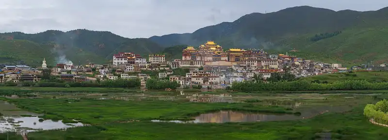 Songzanlin Monastery's white buildings and gilded roofs on a hillside