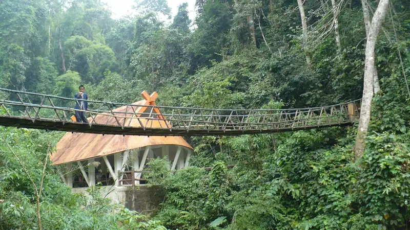 Taman Hutan Purba Xishuangbanna